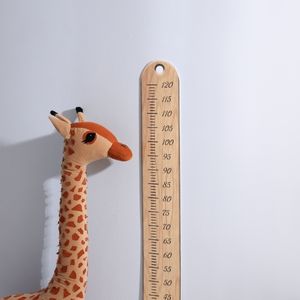 4 Metrekare Halının Ölçüsü Kaça Kaç ?